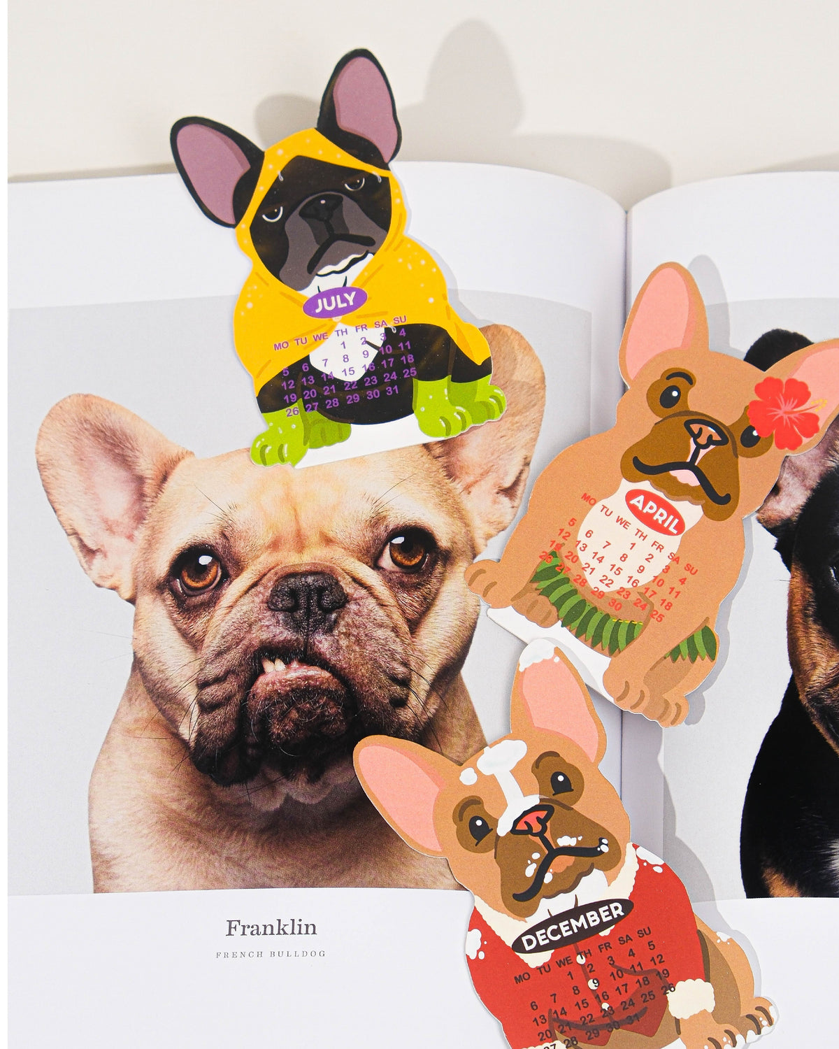 2027 Bulldog Desk Calendar