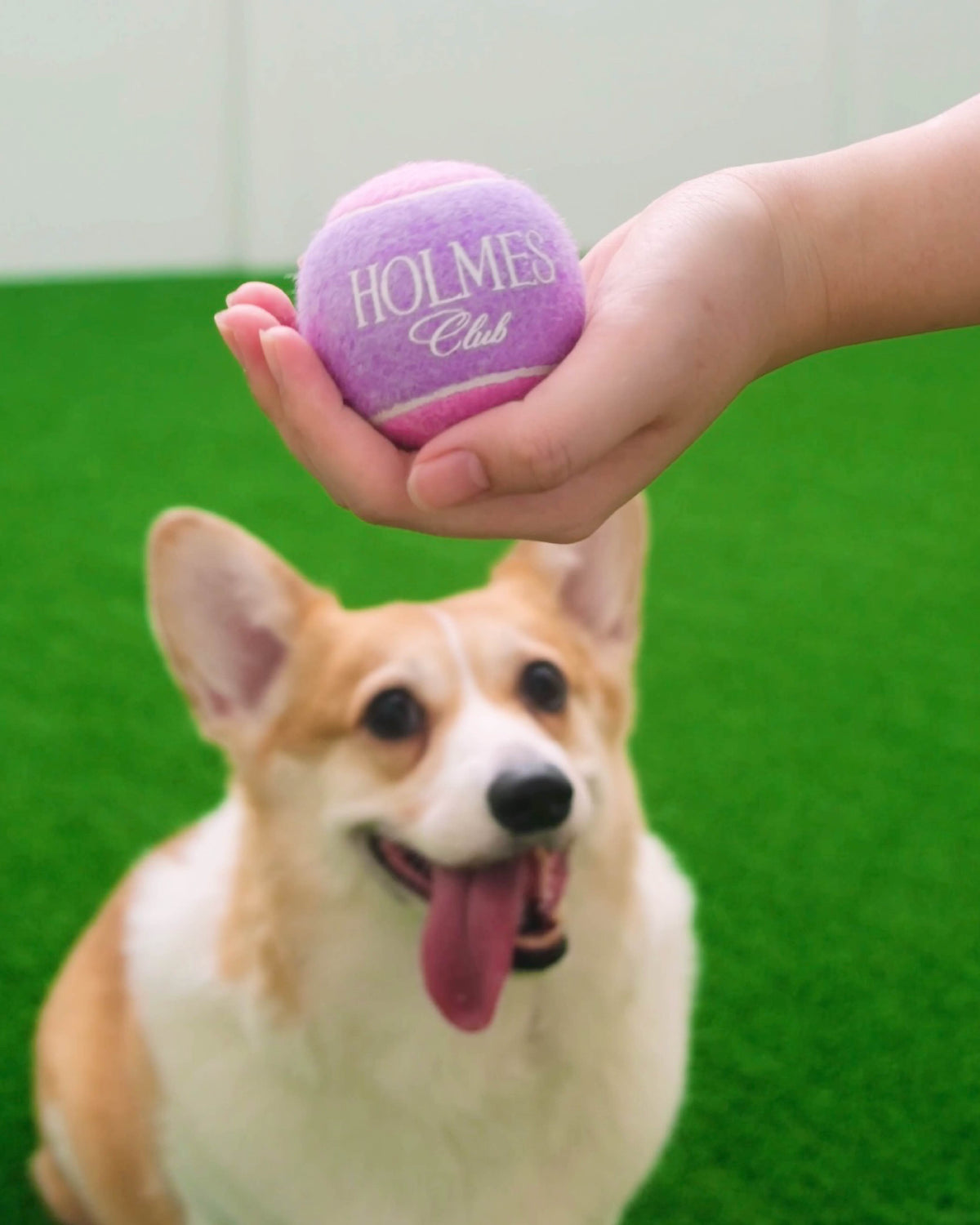 Holmes Run Ball - Cotton Candy