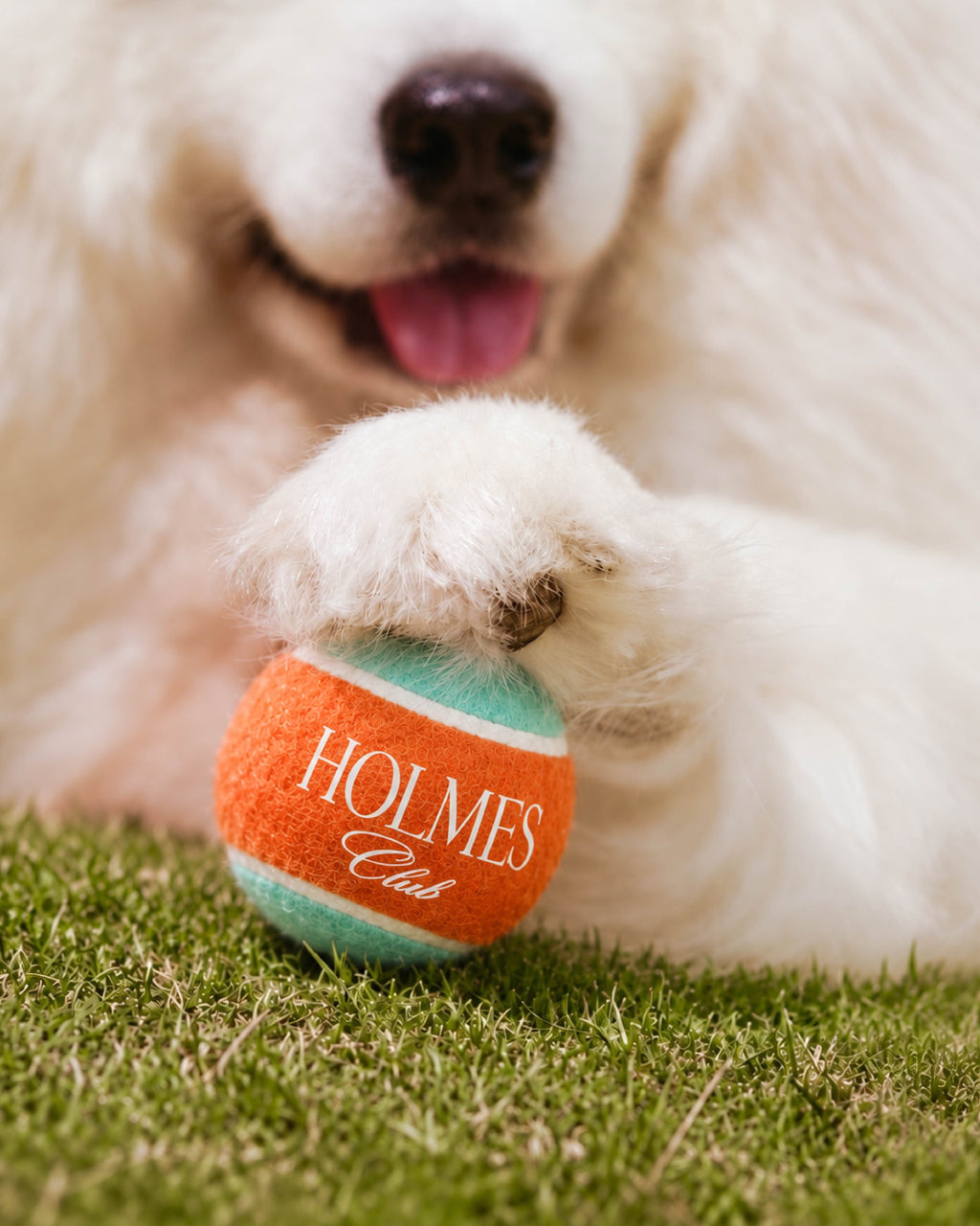 Holmes Run Ball - Coral reef